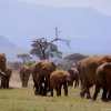 Tsavo Ovest