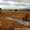 Tsavo Ovest