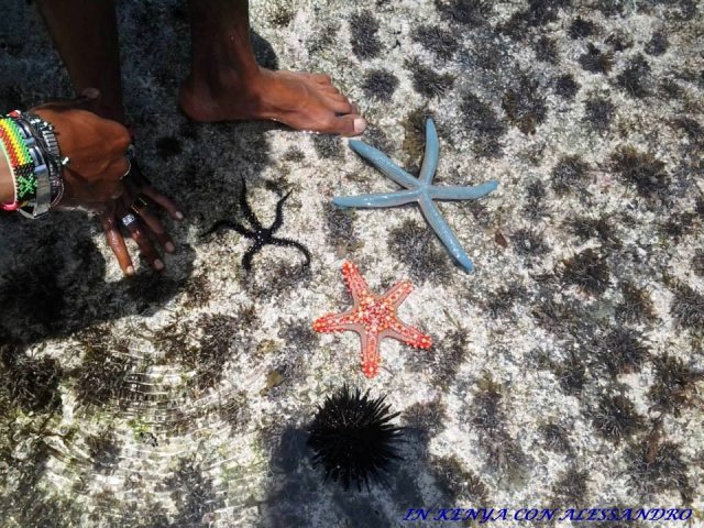 Isola dell'Amore Watamu