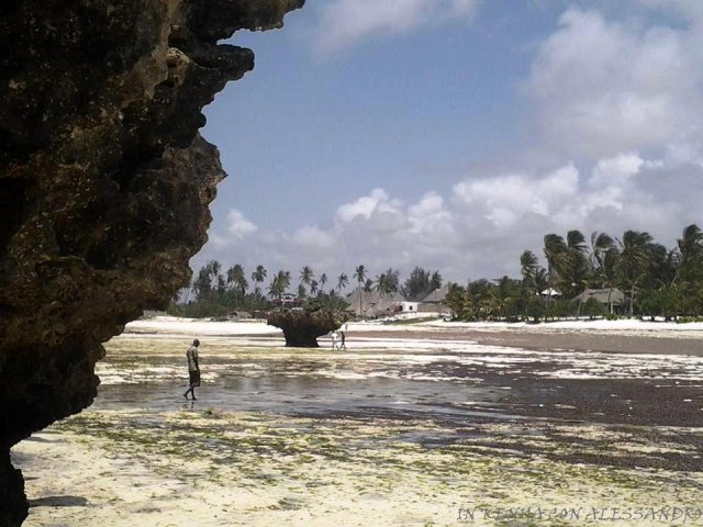 Isola dell'Amore Watamu