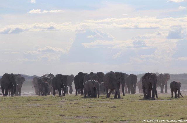 Amboseli