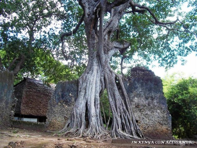 Rovine di Gede