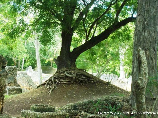 Rovine di Gede