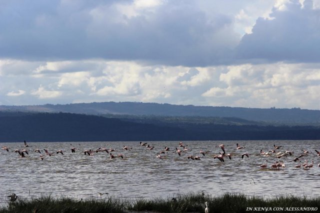 Lago Nakuru