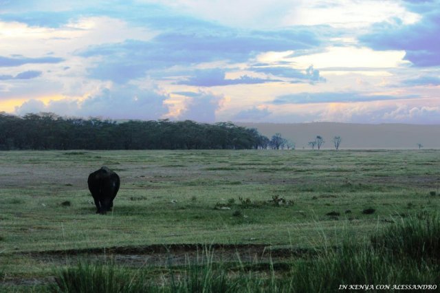 Lago Nakuru