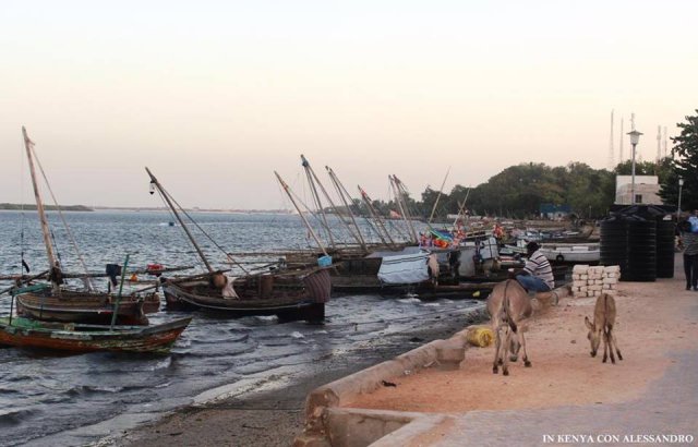 Lamu