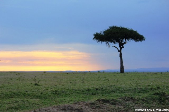 Masai Mara