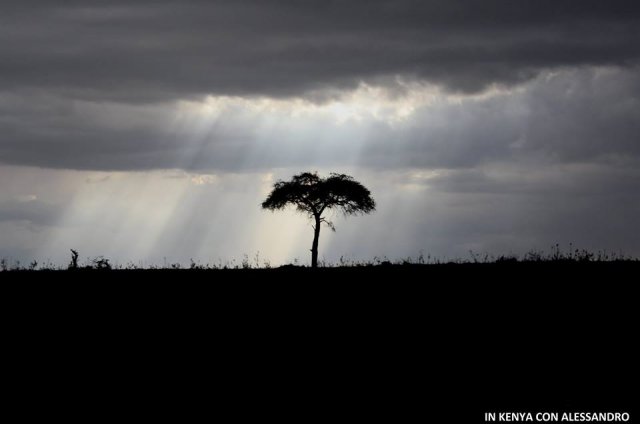 Masai Mara