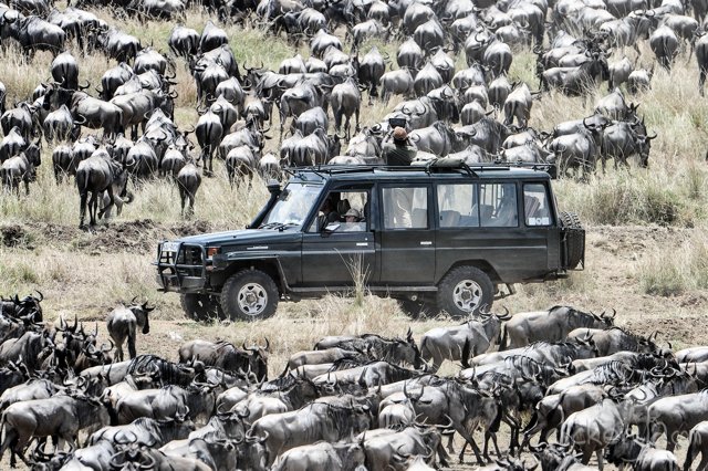 Masai Mara