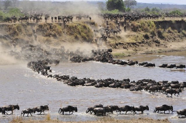 Masai Mara