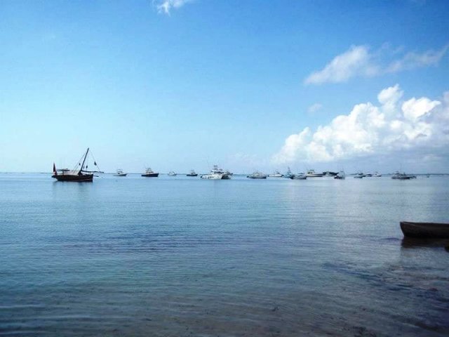 Pesca d'altura