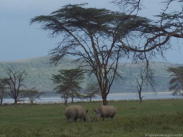 Lago Nakuru