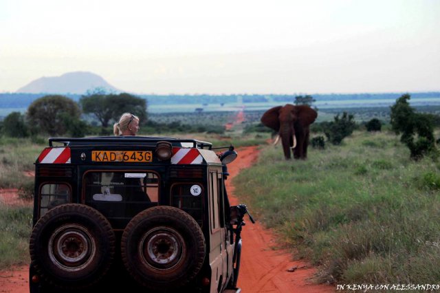 Tsavo Est