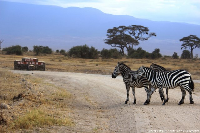 Amboseli