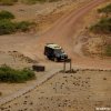 Amboseli