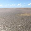 Isola di Robinson & Che Shale