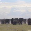 Amboseli