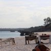 Garoda - spiaggia