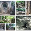Rovine di Gede