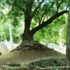 Rovine di Gede