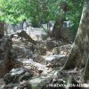 Rovine di Gede