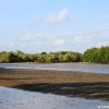 Isola di Robinson & Che Shale