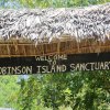 Isola di Robinson & Che Shale