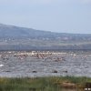 Lago Nakuru