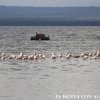 Lago Nakuru