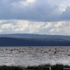 Lago Nakuru