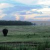 Lago Nakuru