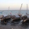 Lamu