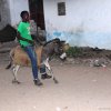 Lamu