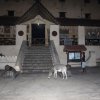 Lamu