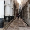 Lamu