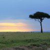 Masai Mara