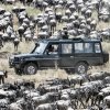 Masai Mara