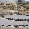 Masai Mara