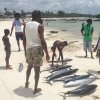 Pesca d'altura