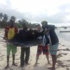 Pesca d'altura