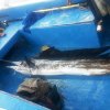 Pesca d'altura