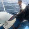 Pesca d'altura