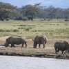 Lago Nakuru